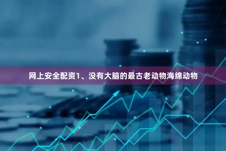 网上安全配资1、没有大脑的最古老动物海绵动物